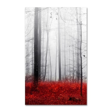 Trademark Fine Art Philippe Sainte-Laudy 'Little Red Carpet' Canvas Art, 22x32 PSL0273-C2232GG